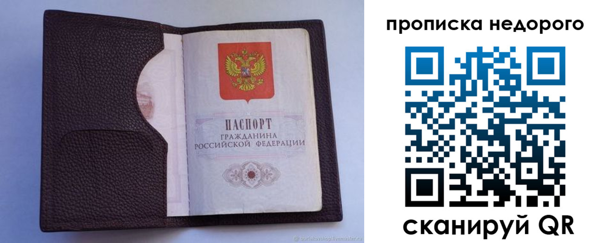 прописка законно в Мордовии